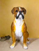 Large 18" Tall Adorable Realistic Sitting Fawn Boxer Dog Statue Home Decor