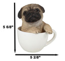 Realistic Adorable Pug Dog Teacup Statue 5.5" Tall Pet Pal Puppy Pugs Figurine