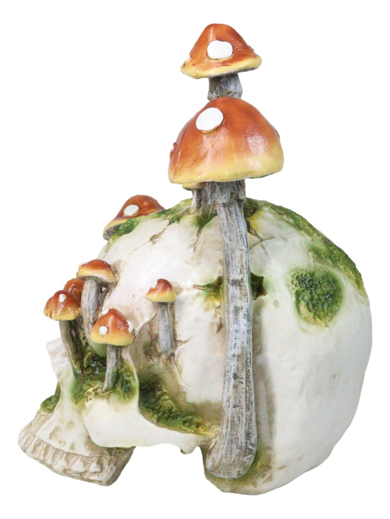 Large Day Of The Dead Toadstool Mushrooms And Moss Fungi Skull Figurine 11.5"H