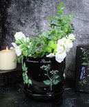 Witchcraft Magic Dark Forest Poisonous Plants Ceramic Planter Pot W/ Saucer Set