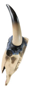 Southwest Longhorn Cow Steer Skull With Texas Lone Star State Flag Plaque
