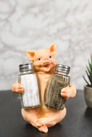 Cute Pig Salt and Pepper Shaker Holder Set with Glass Shakers, Smiling Porky Pig