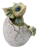 Adorable Green Baby Dragon Hatchling Cracking Out of Egg Shell Figurine 4"H