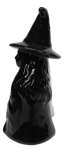 Wiccan Magic Hocus Pocus Black And White Witches Ceramic Salt Pepper Shakers Set