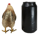 Rustic Western Country Farm Light Brown Chicken Hen Figurine 4.5" Tall