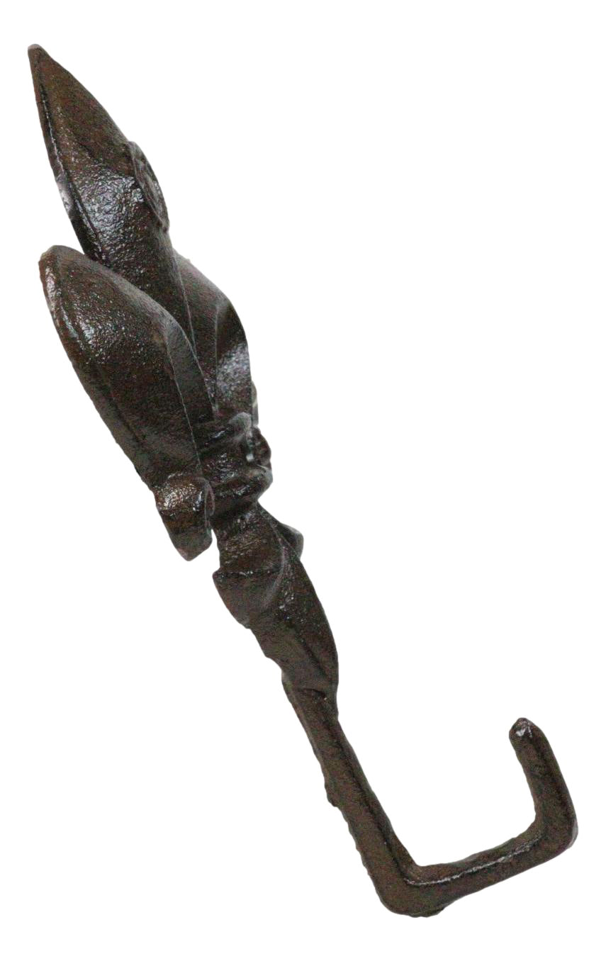 Pack Of 2 Cast Iron Rustic Fleur De Lis Emblem Wall Hook Towel Coat Hats Hangers