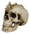 Spirit Skull Opera Tooled Rococo Flares Masquerade Cranium Macabre Figurine