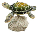 Marine Green Sea Turtle Swimming Over Partridge Tun Shell Spring Bobble Figurine