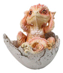 Adorable Orange Baby Dragon Hatchling Cracking Out of Egg Shell Figurine 4"H