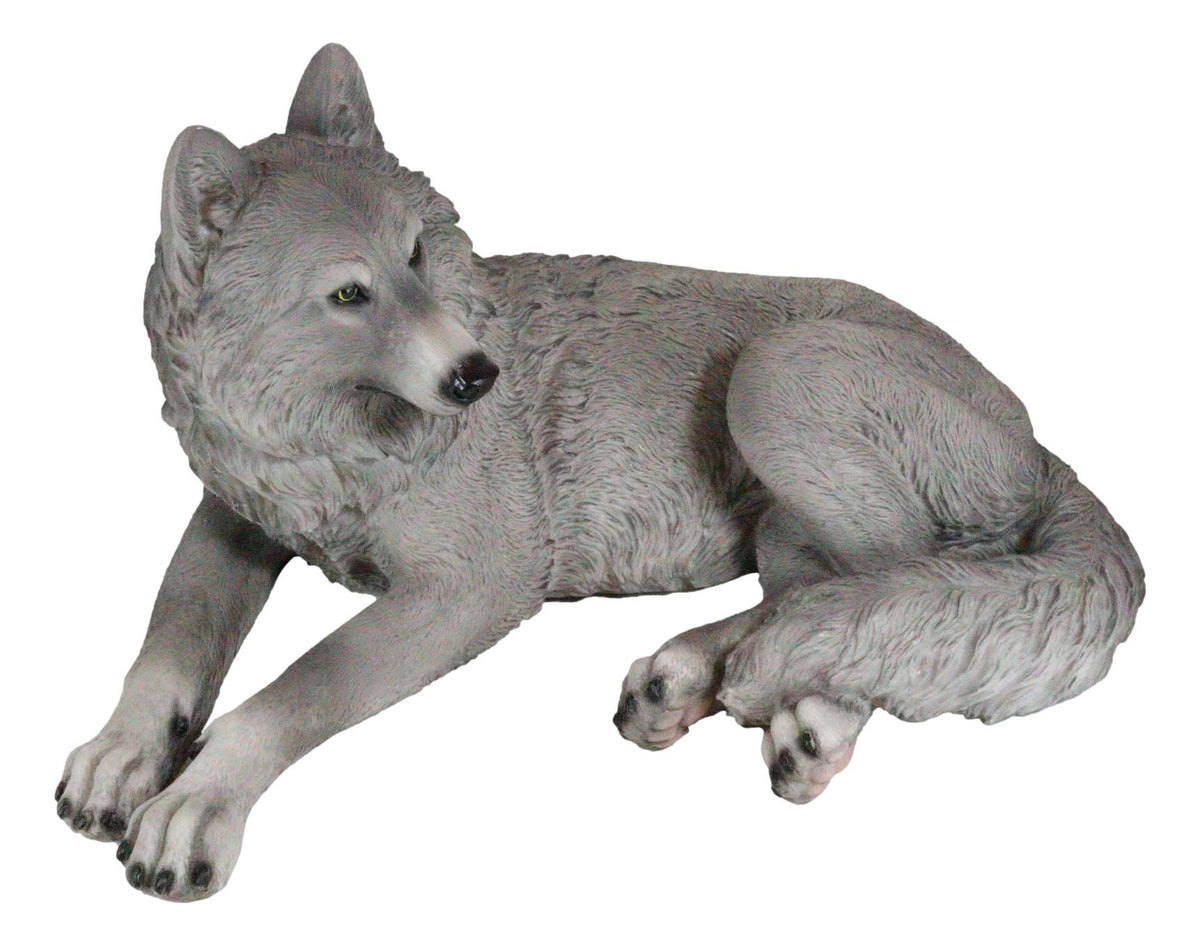 Resting Wise Gray Lone Wolf Figurine Timberwolves Pack Decorative Decor Statue - Ebros Gift