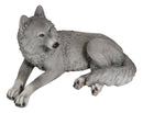 Resting Wise Gray Lone Wolf Figurine Timberwolves Pack Decorative Decor Statue