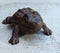 Rustic Vintage Cast Iron Garden Frog Toad Decorative Key Box Small Figurine