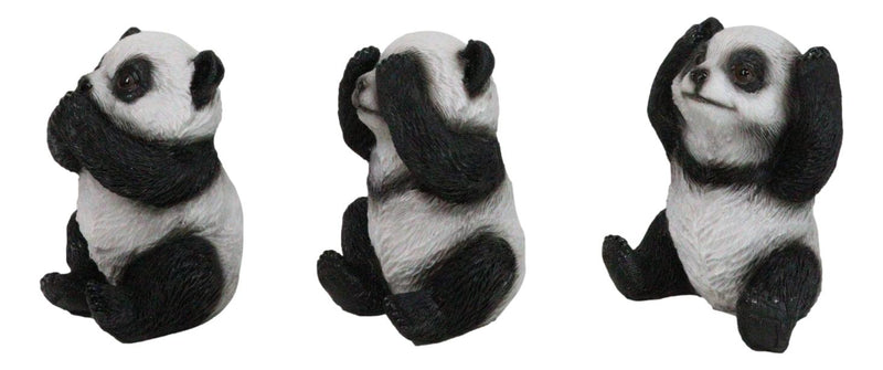 Set Of 3 See Hear Speak No Evil Whimsical Giant Panda Bears Mini Figurines