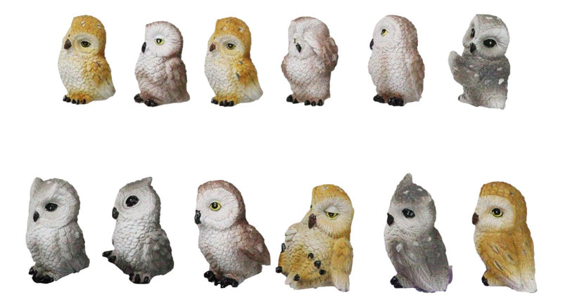 Set Of 12 Colorful Ancient Wisdom Of The Forest Woodlands Owls Mini Figurines