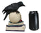 Raven Crow Perching On Skull With LED Eyes And Spell Books Of Prophecy Figurine
