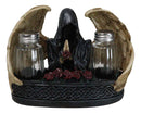 Gothic Grim Reaper With Angel Wings By Red Roses Salt And Pepper Shakers Holder