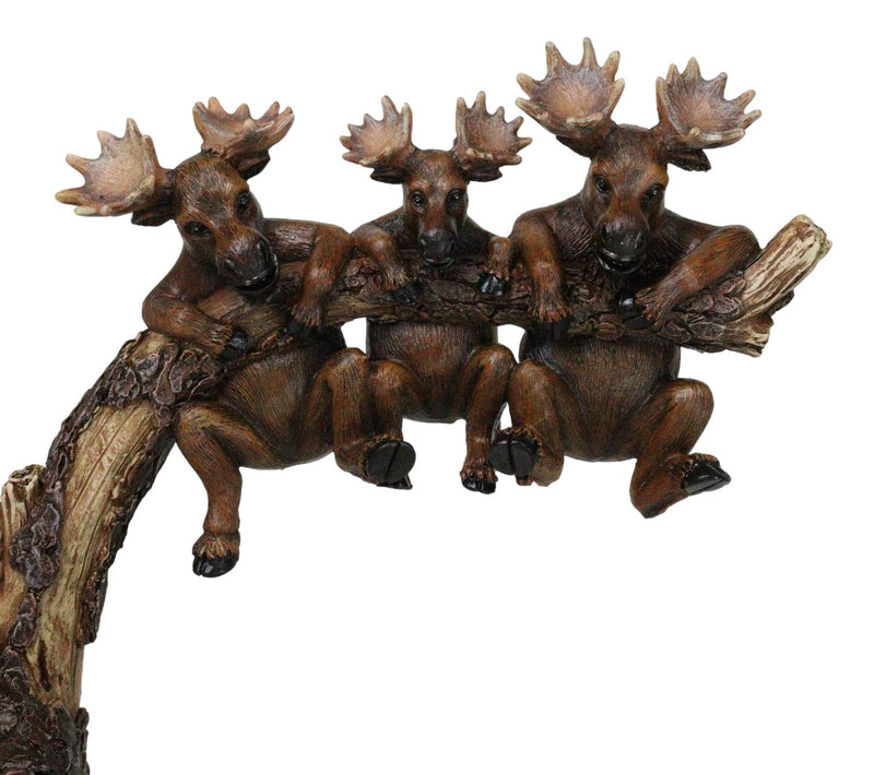 Rustic Western Elk Moose Hanging On Tree Branch Wall Hand Towel Holder Bar
