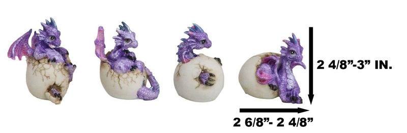 Set Of 4 Purple Spyro Baby Dragon Hatchlings Breaking Out Of Eggs Figurines