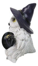 Forest Arctic White Snow Owls Witch Mother with 2 Chicks Family Figurine 5" L