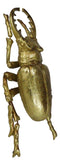 Medium Gold Resin Great Stag Horned Beetle Wall Decor Or Tabletop Figurine