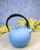 Pastel Blue Minimalistic Tilted Round Cast Iron Teapot 28oz Tea Pot With Handle