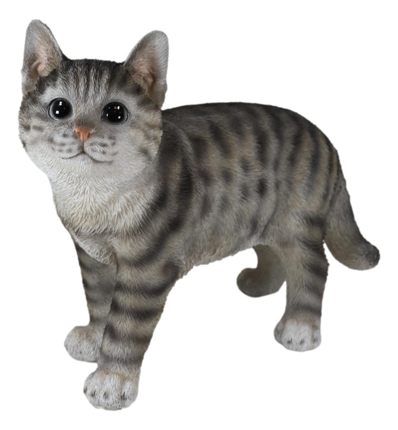 Standing Feline Gray Tabby Cat Kitten Figurine With Realistic Glass Eyes Decor