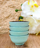 Mint Green Textured Japanese Tetsubin Style Cast Iron Mini Tea Cups Set of 4