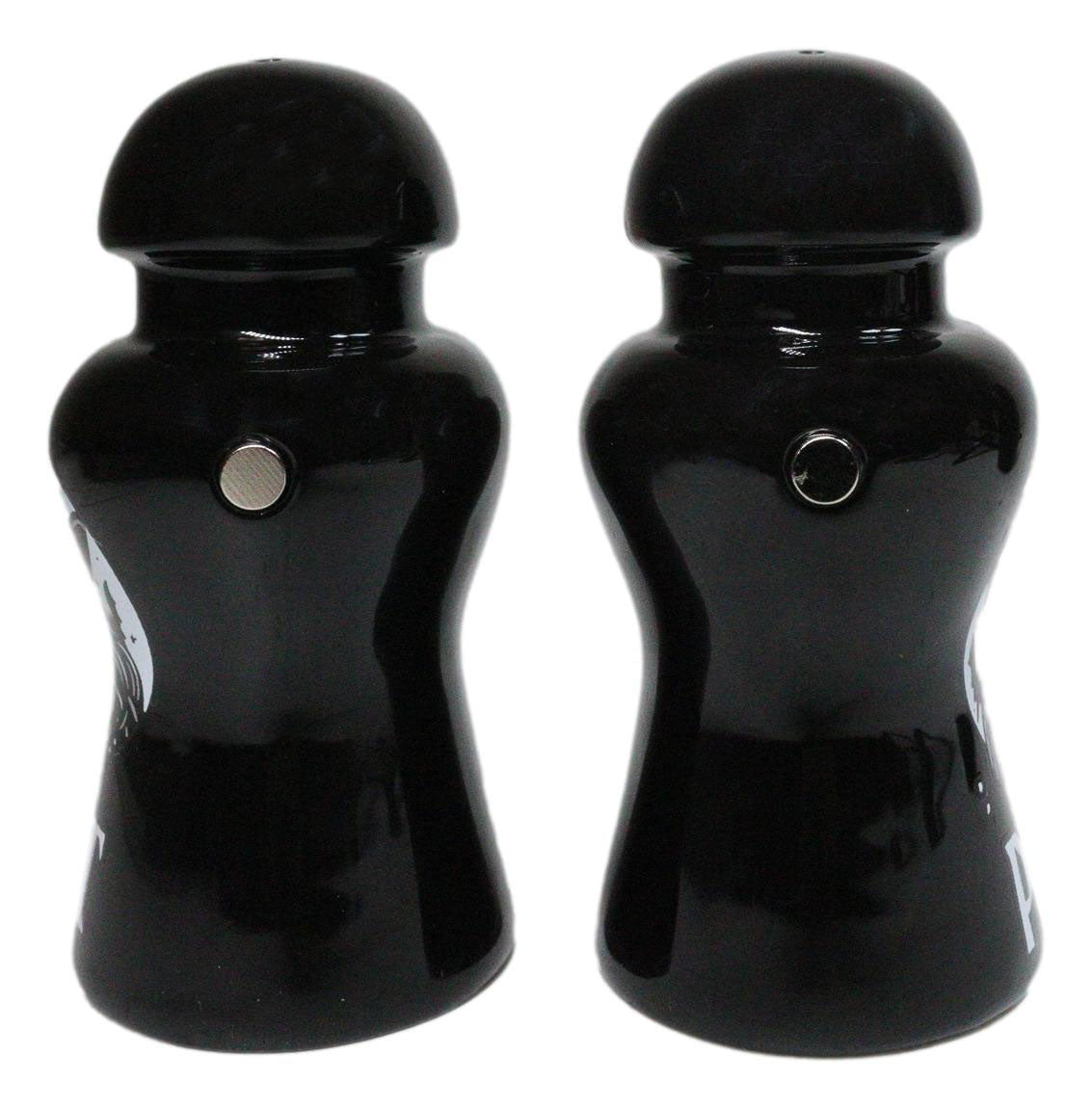 Wicca Black Magic Grand High Witch Apothecary Ceramic Salt Pepper Shakers Set