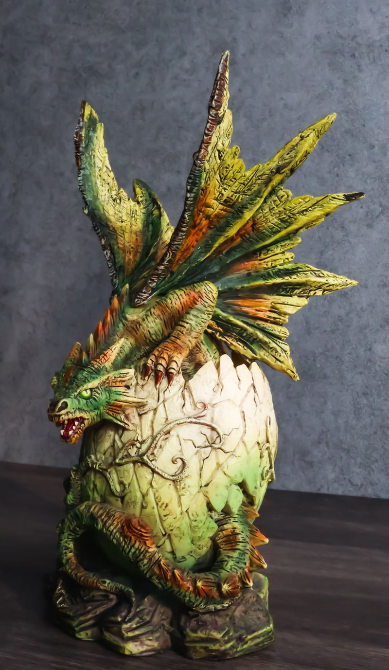 Forest Ent Greenman Dendritic Dragon Hatchling Emerging From Egg Shell Figurine