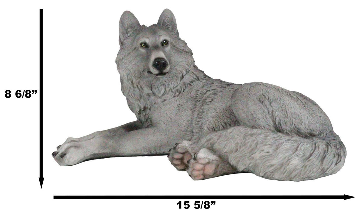 Resting Wise Gray Lone Wolf Figurine Timberwolves Pack Decorative Decor Statue - Ebros Gift