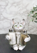 Gray Tabby Cat Salt and Pepper Glass Shakers Holder Set Cute Kitten Figurine
