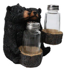 Rustic Forest Black Bear Couple Glass Salt and Pepper Shakers Holder Figurine