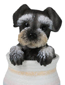 Adorable Grey Mini Schnauzer Puppy Dog Figurine With Glass Eyes Pup In Pot