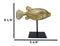 Nautical Marine Gold Tone Yellow Boxfish Fish Sculpture With Museum Pole Stand