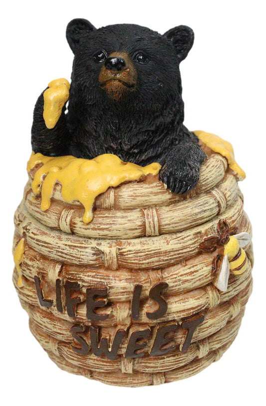 Western Forest Black Honey Pot Bear Life is Sweet Decorative Trinket Jewelry Box
