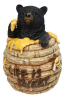 Western Forest Black Honey Pot Bear Life is Sweet Decorative Trinket Jewelry Box