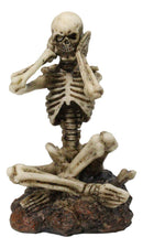 See Hear Speak No Evil Skeleton Figurines Set of 3 Wise Skeletons in Seated Pose