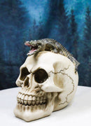 Ossuary Macabre Gothic Jointed Skull with Perching Crocodile Gator Figurine