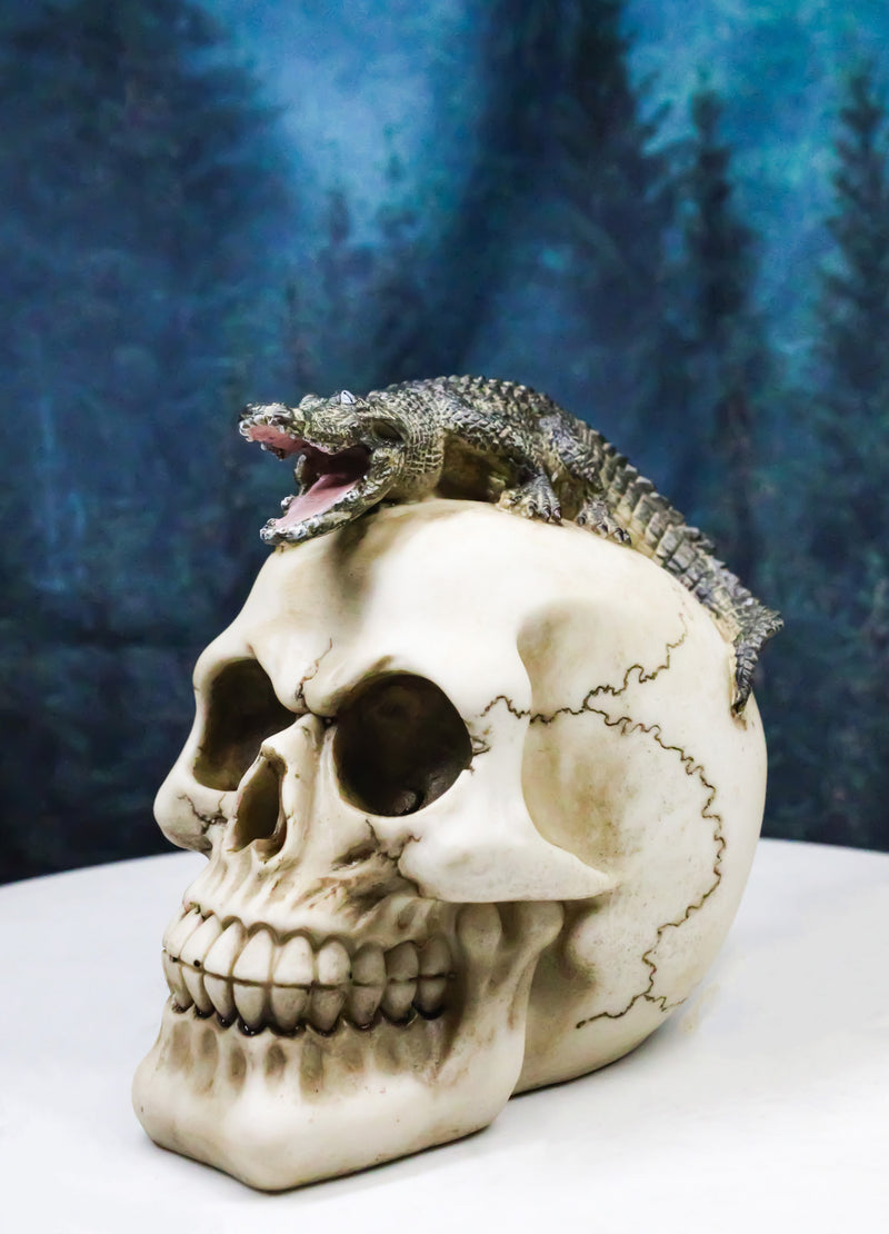Ossuary Macabre Gothic Jointed Skull with Perching Crocodile Gator Figurine