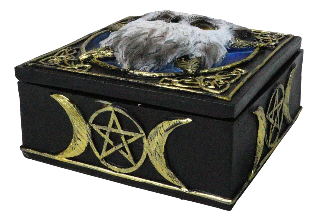 Snowy Owl Trinket Box, 5 x 5 Inch Decorative Keepsake Box with Celtic Knotwork