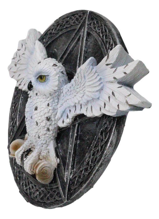 Wiccan Witch White Snowy Owl 3D Wall Plaque With Pentagram & Celtic Knotwork