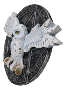 Wiccan Witch White Snowy Owl 3D Wall Plaque With Pentagram & Celtic Knotwork