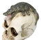 Ossuary Macabre Gothic Jointed Skull with Perching Crocodile Gator Figurine