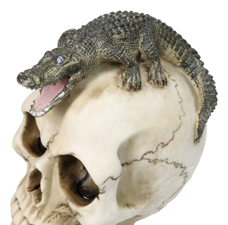 Ossuary Macabre Gothic Jointed Skull with Perching Crocodile Gator Figurine