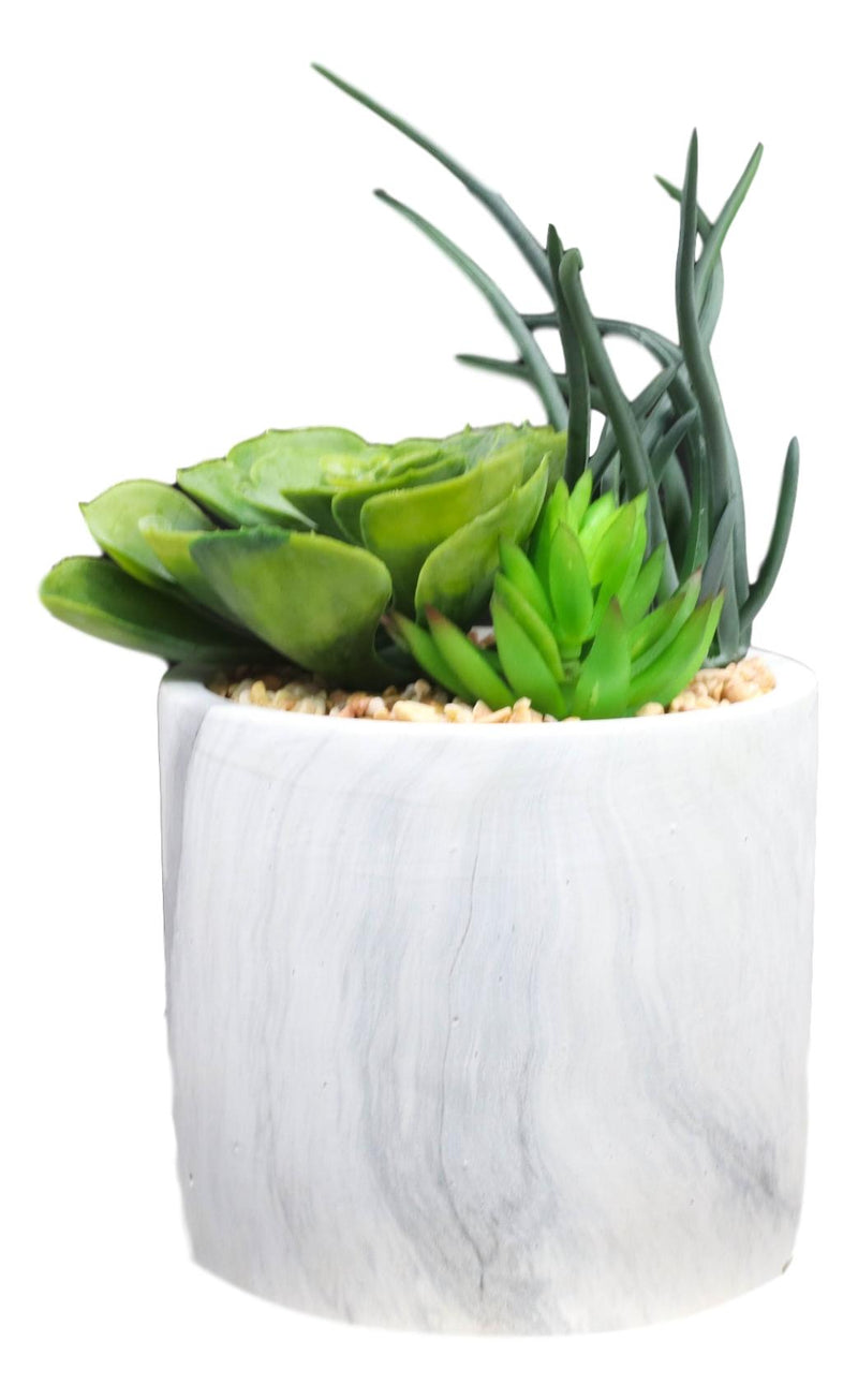 Ultra Realistic Artificial Botanica Trio Succulents Plant In Faux Marble Pot
