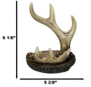 Rustic Buckhorn Stag Deer Antler On Faux Wood Cell Phone Holder Figurine 6"H