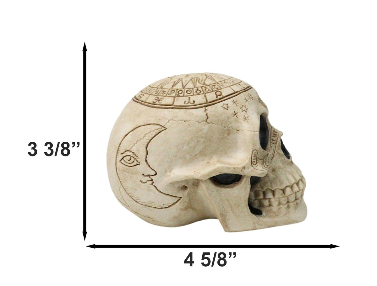 Ebros Gift Astrology Zodiac Skull Figurine Celestial Occult Gothic Decor