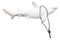 Set Of 6 Antique White Sharks Ocean Marine Wall Hanging Decor Tree Ornaments