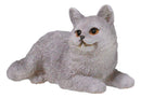 Realistic Feline British Shorthair Grey Kitty Cat Kitten Resting Mini Figurine