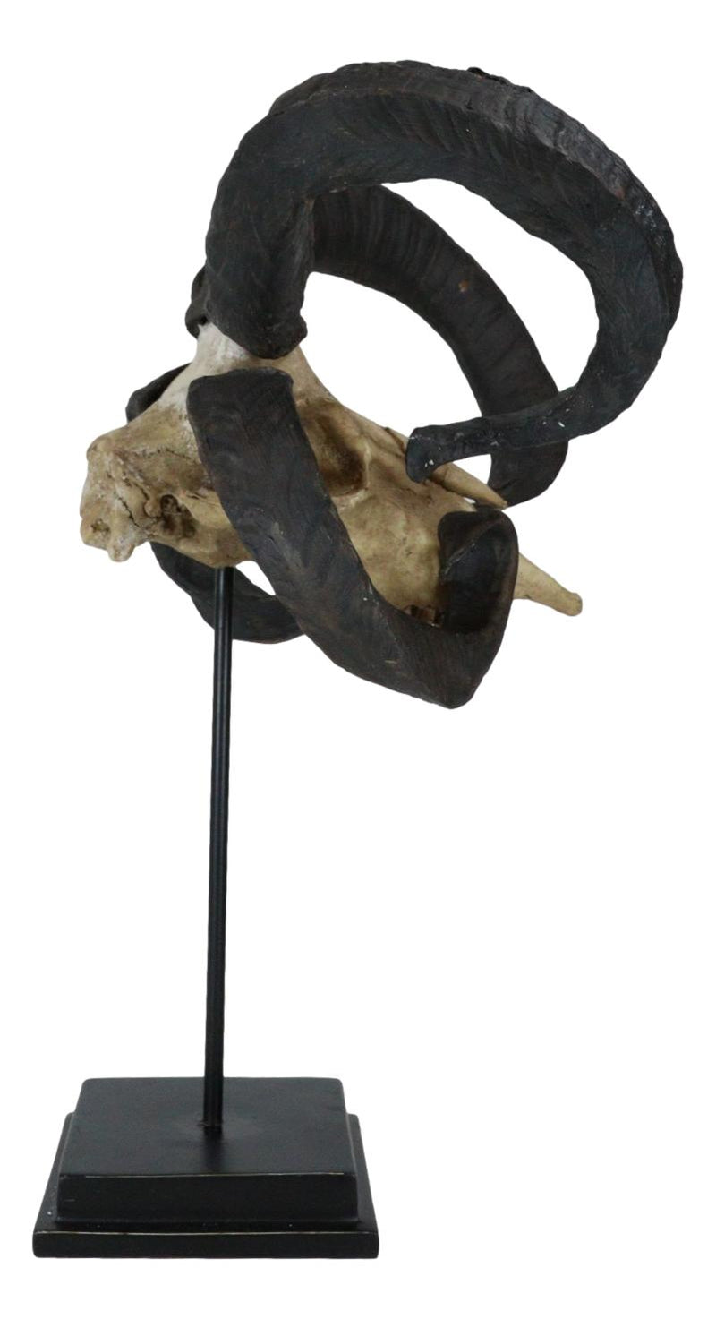 Large Alien Mutated Quad Horns Ram Skull Sculpture On Museum Base Stand 17.25"H